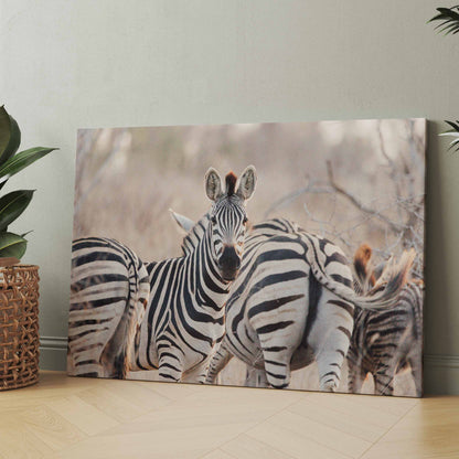 Rechteckige Zebra-Leinwand mit frontalem Zebrafell und weiteren Zebras im Hintergrund