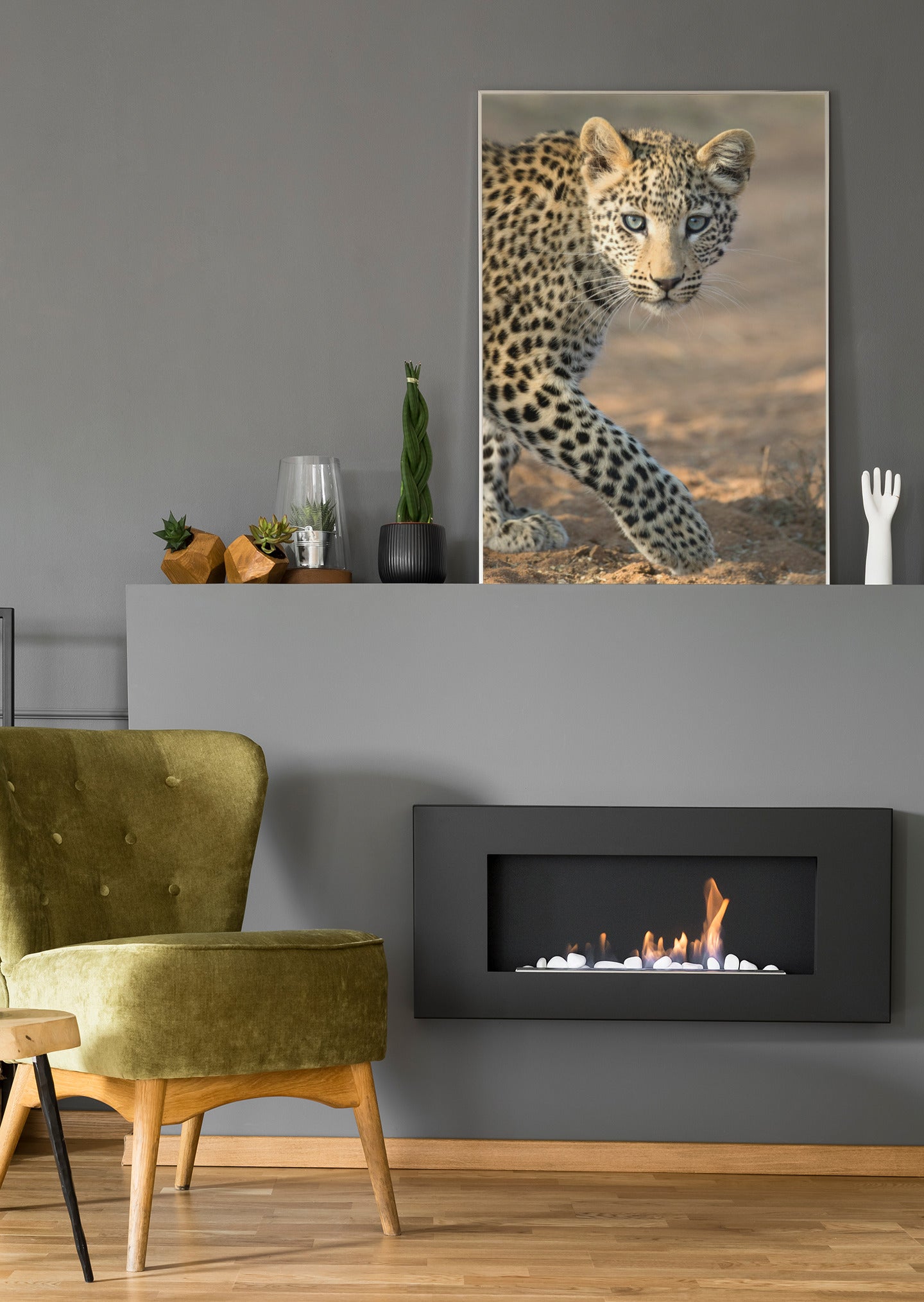 Leoparden-Poster auf Leinwand: Leopardenjunges mit Blick nach vorn, braun gesprenkelt