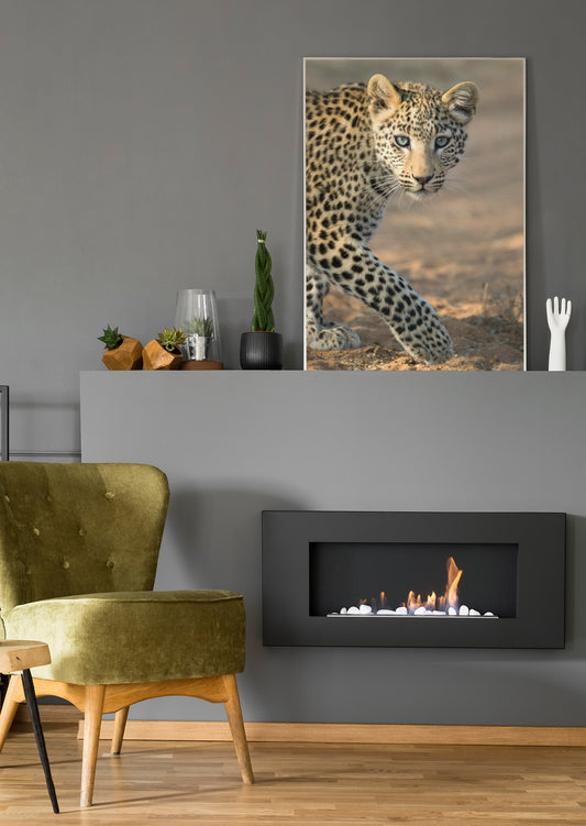 Leoparden-Poster auf Leinwand: Leopardenjunges mit Blick nach vorn, braun gesprenkelt