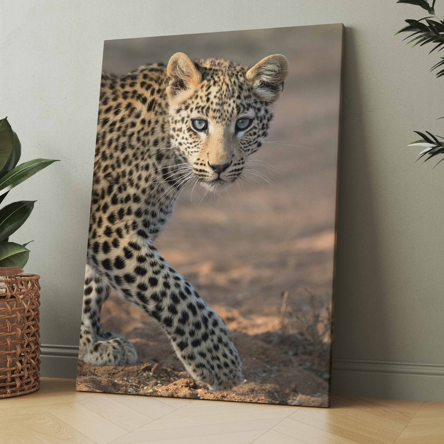 Leoparden-Poster auf Leinwand: Leopardenjunges mit Vorderpfote, braun gefleckt