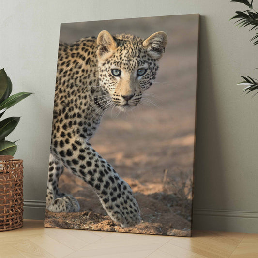 Leoparden-Poster auf Leinwand: Leopardenjunges mit Vorderpfote, braun gefleckt