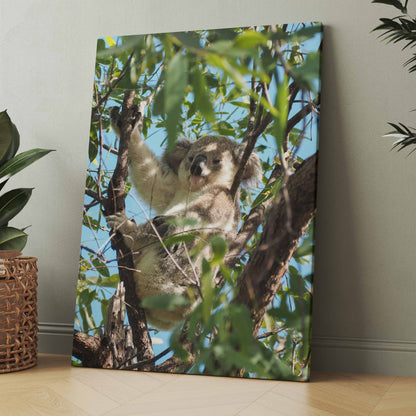 Wandbild mit Koala im Baum zwischen grünen Blättern