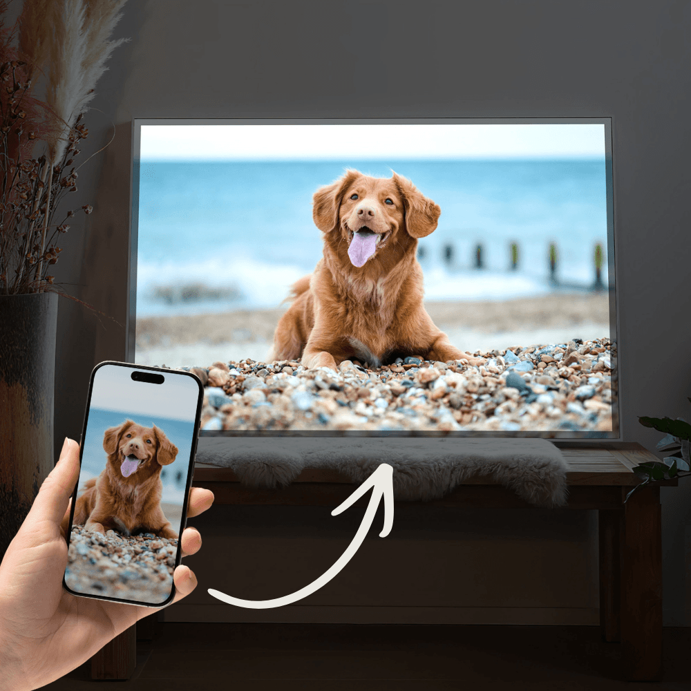 LED-Wandbild mit Wunschmotiv im Rahmen, liegender Hund am Strand