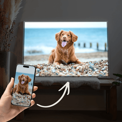 LED-Wandbild mit Wunschmotiv im Rahmen, liegender Hund am Strand